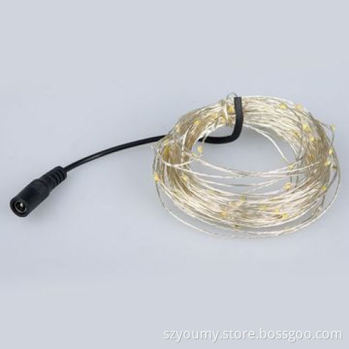 Waterproof 5M 50pcs LEDs, DC 12V, Silver Ccooper Wire LED String Light